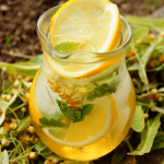 Scossa di fiori di tiglio: bevanda probiotica che rinfresca l’estate