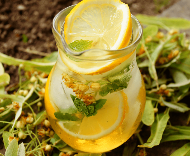 Scossa di fiori di tiglio: bevanda probiotica che rinfresca l’estate