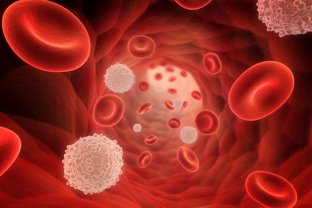 Numero ridotto di piastrine: sintomi e 6 rimedi naturali