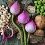 Benefici extraordinari ai semințelor de lotus și cum să le consumi