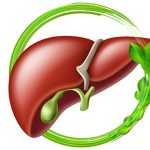 Il rimedio con assenzio e menta che rivitalizza il fegato in soli 7 giorni