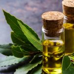 La foglia di alloro: segreto per la digestione e massaggio addominale