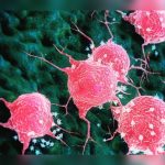 Onconutriția alimentației care sprijină lupta împotriva cancerului: ce spun studiile și medicii