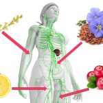 Come prendersi cura del SISTEMA LINFATICO per una vita senza malattie