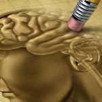 Come utilizzare le piante aromatiche per stimolare la memoria e la concentrazione (ricette e consumo)