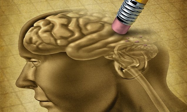 Come utilizzare le piante aromatiche per stimolare la memoria e la concentrazione (ricette e consumo)