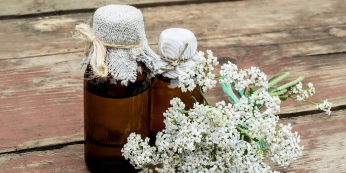 Cosa può fare l’achillea millefolium per il sistema digestivo