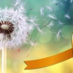 Il rimedio con radice di tarassaco utilizzato nel trattamento del cancro: cosa dicono gli studi recenti