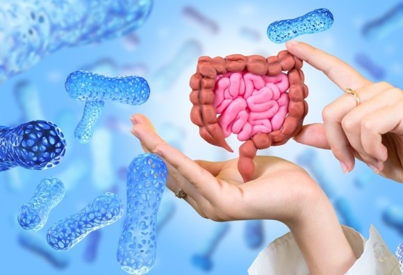Ripristino della flora intestinale in modo naturale: Rimedi efficaci e ricette benefiche