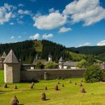 Il tè che purifica i pensieri usato nei monasteri della Bucovina
