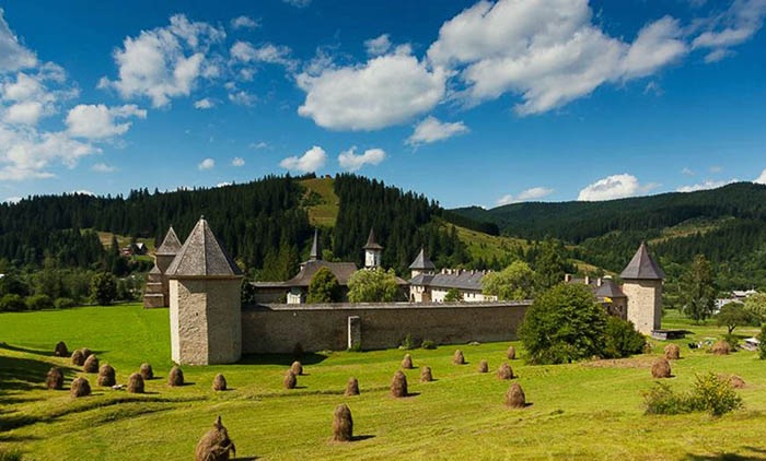 Il tè che purifica i pensieri usato nei monasteri della Bucovina