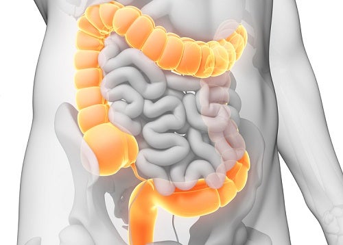 10 metodi naturali per la pulizia e disintossicazione del colon