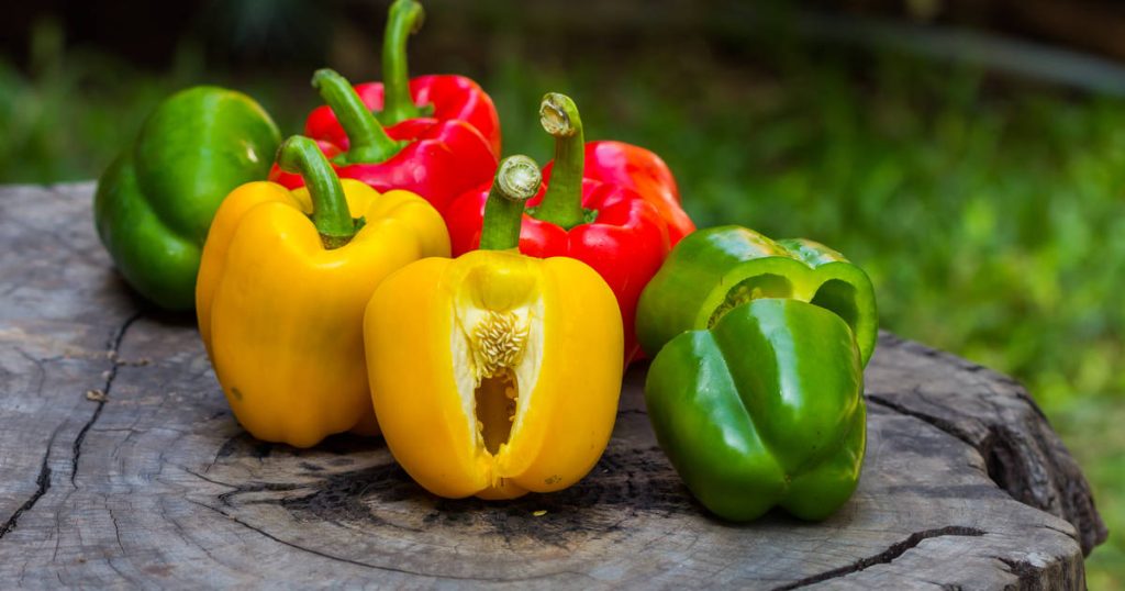 Peperone dolce: 10 benefici incredibili che ti convinceranno a consumarlo quotidianamente