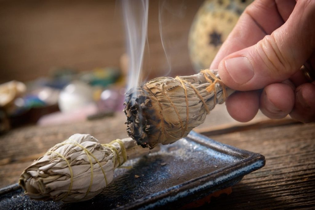 Salvia bianca: la pianta che elimina come per magia le energie negative ecco perché dovresti averla in casa