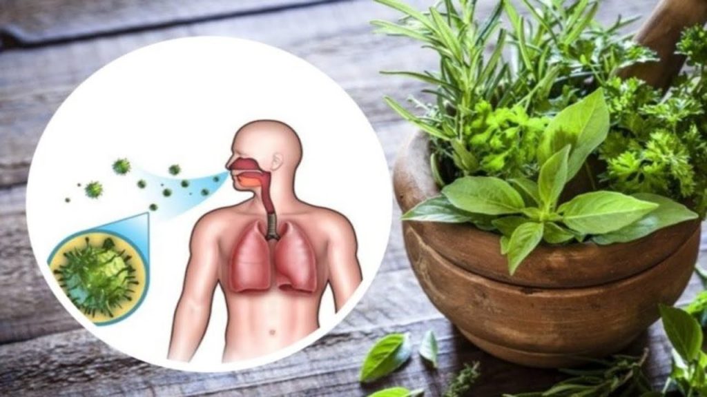 Come migliorare la salute dei polmoni e delle vie respiratorie