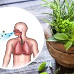 Come migliorare la salute dei polmoni e delle vie respiratorie
