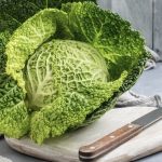 Il cavolo savoy: una verdura con poteri curativi