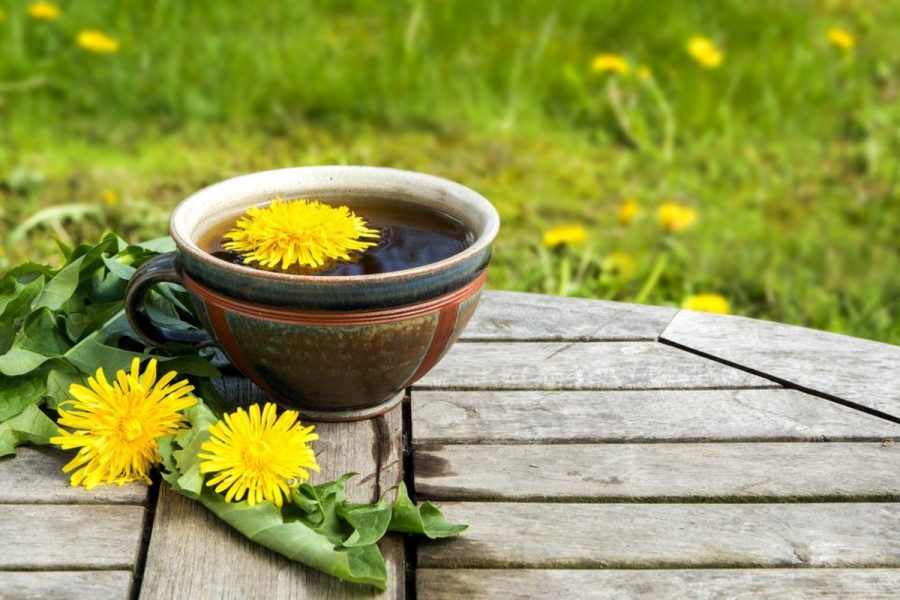 Tè di tarassaco per la disintossicazione del fegato, pelle e stomaco sano: preparazione e possibili effetti collaterali
