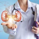 Calcoli renali: perché si formano, come trattarli e prevenirli in modo naturale
