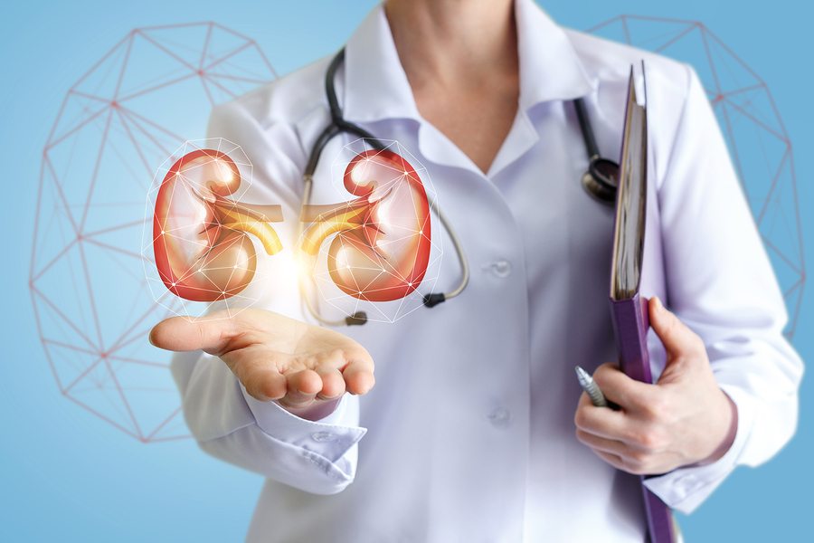 Calcoli renali: perché si formano, come trattarli e prevenirli in modo naturale