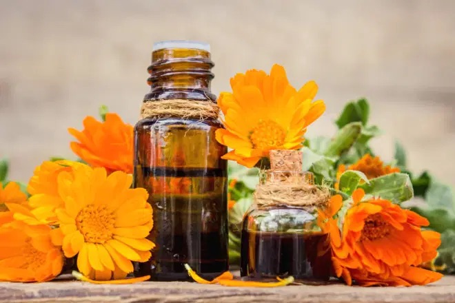 Olio di calendula (ricette e utilizzi) per ferite, ulcere, eczemi, eruzioni cutanee e altri problemi della pelle