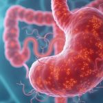 Come influenza la flora intestinale l’intero organismo: quali alimenti la curano e quali la distruggono
