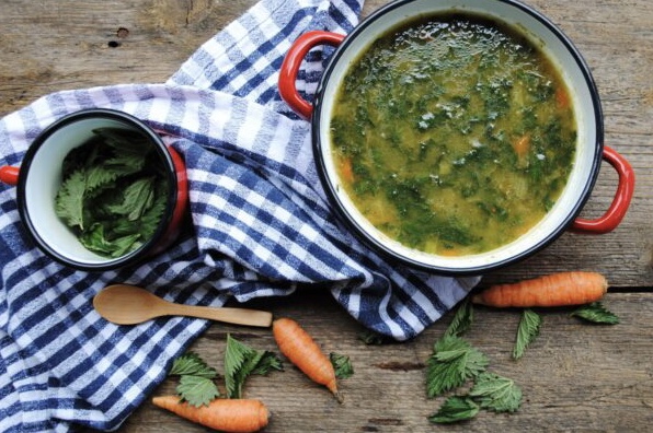 Le ortiche: quanto sono salutari e come prepararle (ricette)