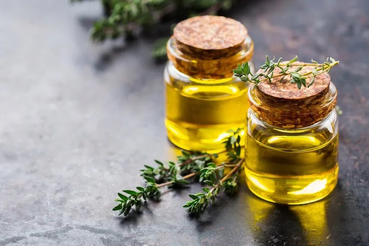Olio di timo uccide le infezioni, migliora la circolazione e riequilibra gli ormoni: come prepararlo e come utilizzarlo