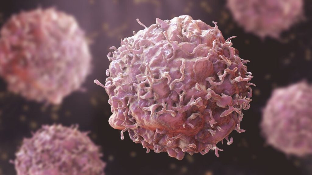 6 combinazioni di piante con i più potenti effetti anticancerogeni