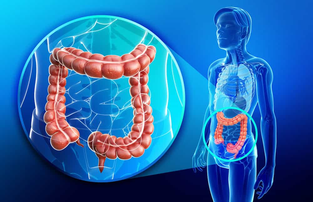 Perché e come fare una corretta pulizia del colon
