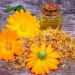 Calendula: Pianta antinfiammatoria, antivirale che guarisce ricetta olio di calendula infuso