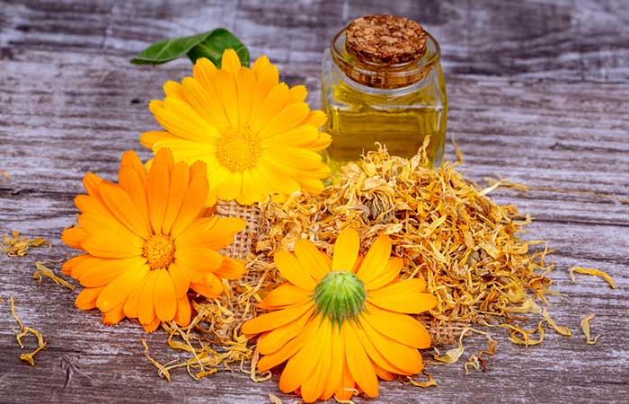 Calendula: Pianta antinfiammatoria, antivirale che guarisce ricetta olio di calendula infuso