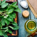 Olio di melissa: calmante naturale per corpo e mente (ricetta e modalità d’uso)