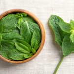 Cosa succede se bevi acqua con menta fresca per 10 giorni (studi, ricette e controindicazioni)