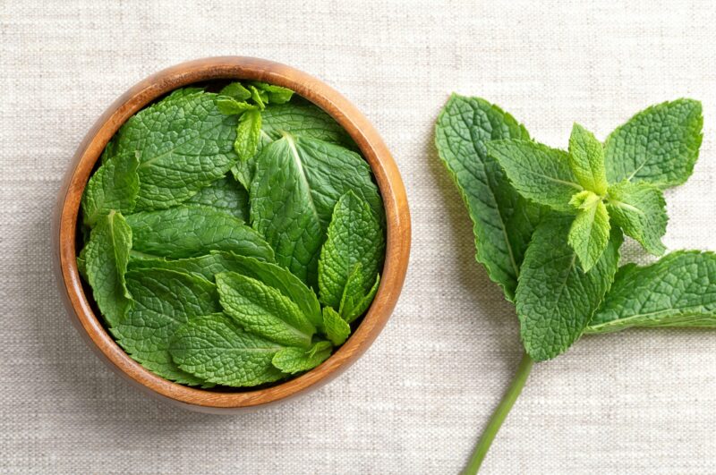 Cosa succede se bevi acqua con menta fresca per 10 giorni (studi, ricette e controindicazioni)