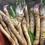Il cibo considerato un medicinale naturale, ideale per il cervello, il cuore e le ossa, soprannominato l’oro del giardino romeno