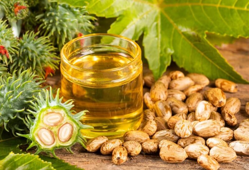 Come utilizzare l’olio di ricino spremuto a freddo per trattare i dolori articolari, la stitichezza e i problemi della pelle