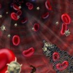 La foglia che purifica il sangue e la pelle allo stesso tempo
