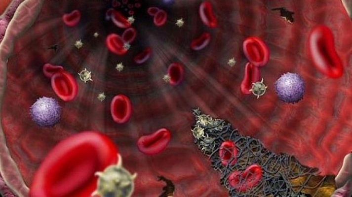 La foglia che purifica il sangue e la pelle allo stesso tempo