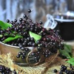 Frutti di sambuco: la potente farmacia della natura + ricetta sciroppo di sambuco