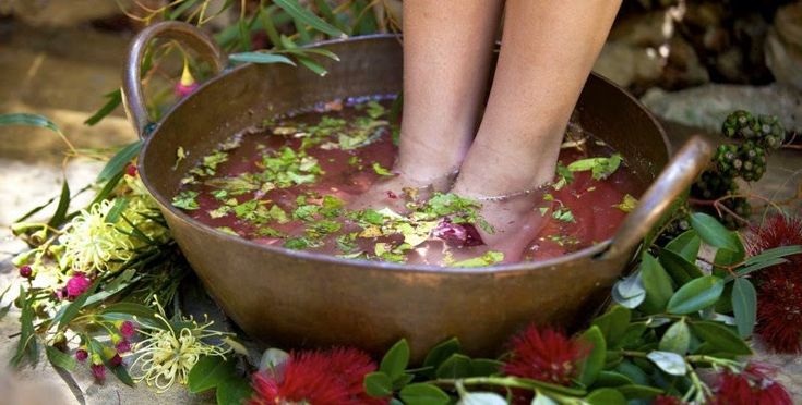 Palle di erbe del Giovedì Santo: tradizioni dimenticate, ma curative