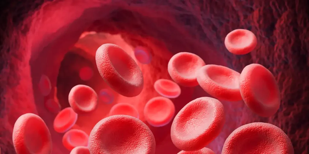 Radice estremamente preziose utilizzate nei periodi di digiuno per purificare il sangue