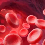 Radice estremamente preziose utilizzate nei periodi di digiuno per purificare il sangue