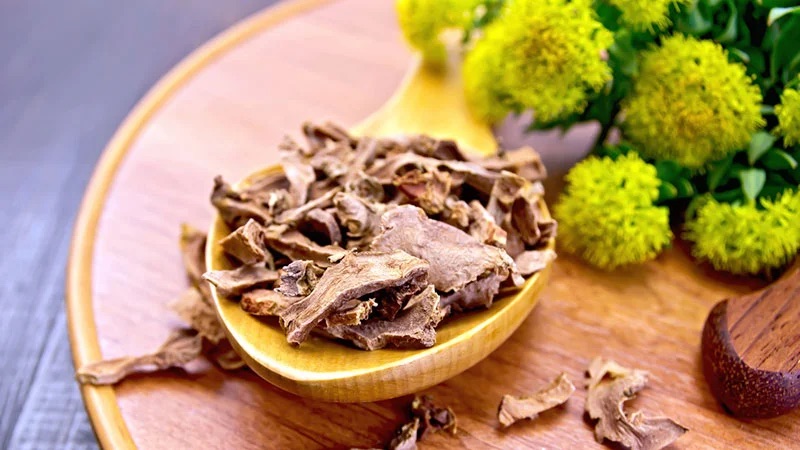 Rhodiola rosea (ruj) l’antidepresivo della natura: benefici, preparazione, dosaggio raccomandato e precauzioni