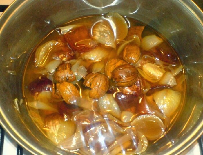 Tisana di cipolla con noci, la migliore ricetta per la tosse, raffreddore e mal di gola