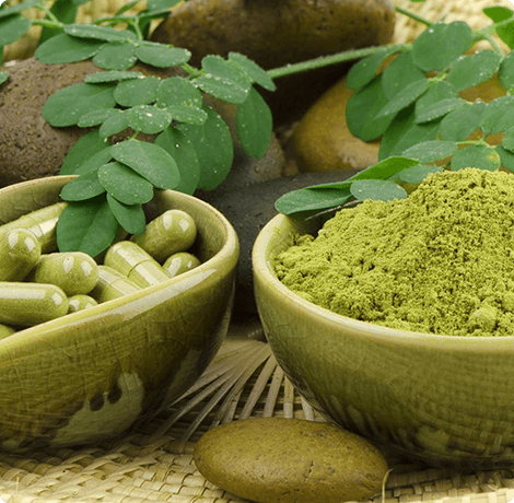 Albero della vita o Albero di Dio (moringa) un albero con poteri divini