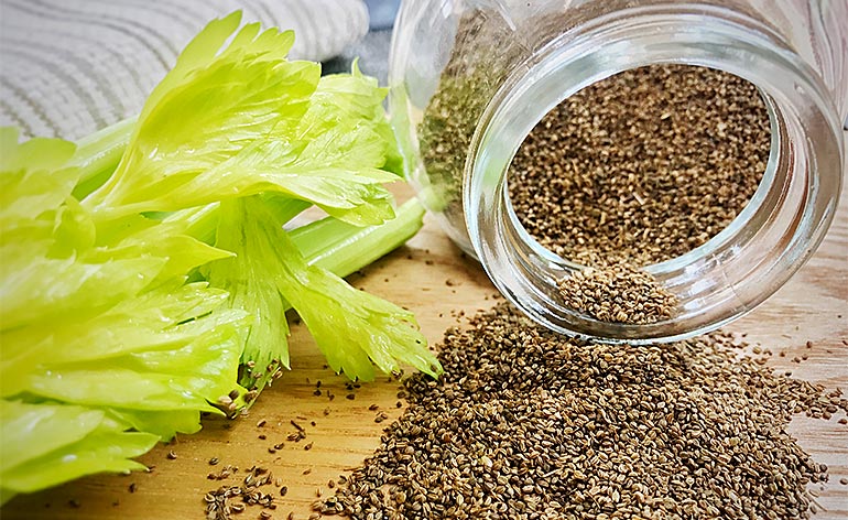 Semințe de țelină: un remediu ayurvedic cu care poți trata numeroase probleme de sănătate