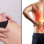 10 alimenti che aiutano a ridurre il dolore al ginocchio e alla schiena