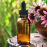 Tintura di echinacea: Come prepararla e come beneficiare del potere di questa pianta medicinale