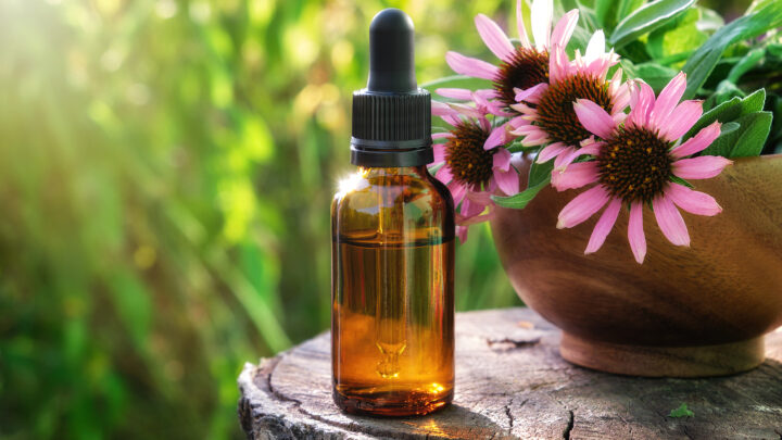 Tintura di echinacea: Come prepararla e come beneficiare del potere di questa pianta medicinale